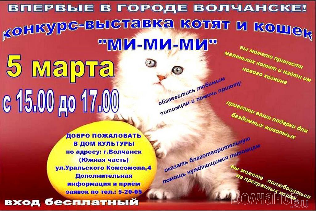 Городской выставка-конкурс домашних кошек и котят «Ми-Ми-Ми»